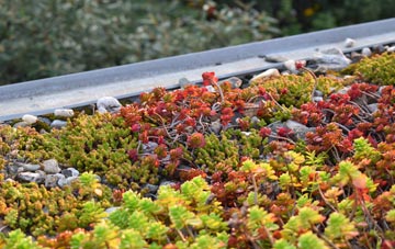 the cost of Penny Green green roof installation