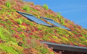 Penny Green living roof systems