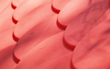 Penny Green plastic roof costs