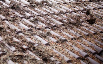 Penny Green roof cleaning companies