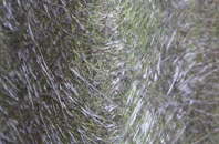 Penny Green fibreglass roof work